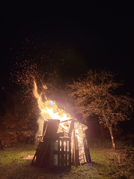 Thumbnail of photo from this article